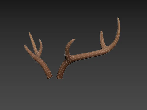 Corno di cervo Modello 3D