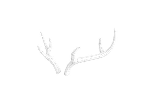 Deer Antler 3D 모델
