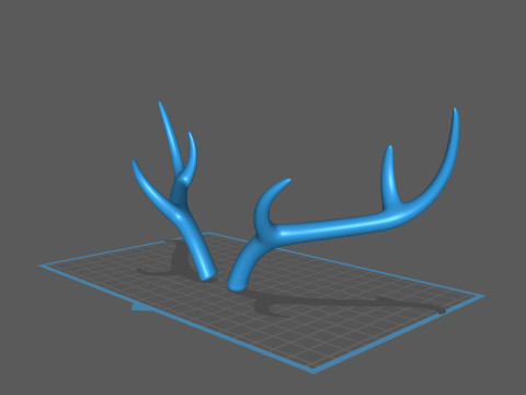 Deer Antler 3D 모델
