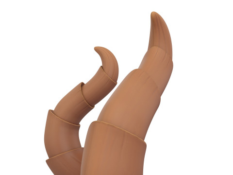 Demon Horn 2 3D Model