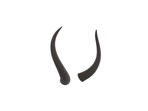 Demon Horn 3 3D Model