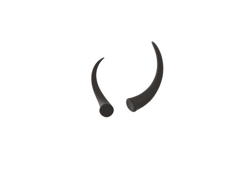 Demon Horn 3 3D Model