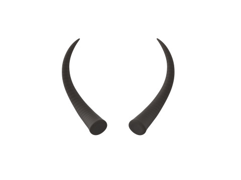 Demon Horn 3 3D Model