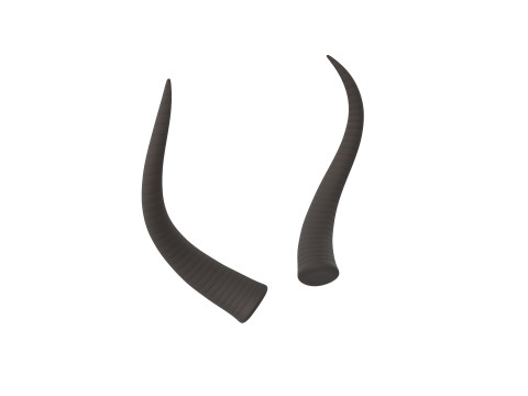 Demon Horn 3 3D Model