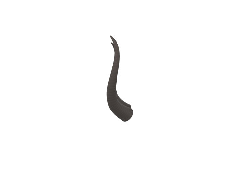 Demon Horn 3 3D Model