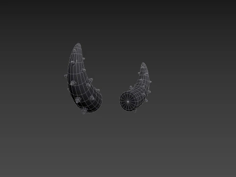 Corne &agrave; pointes Modèle 3D