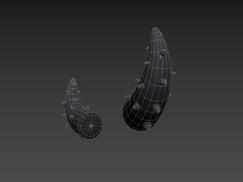 Corne &agrave; pointes Modèle 3D