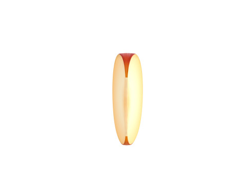 Apple Slice 3D Model