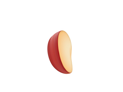 Apple Slice 3D Model