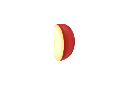 Apple Slice 3D Model