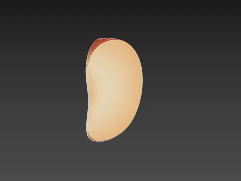Apple Slice 3D Model