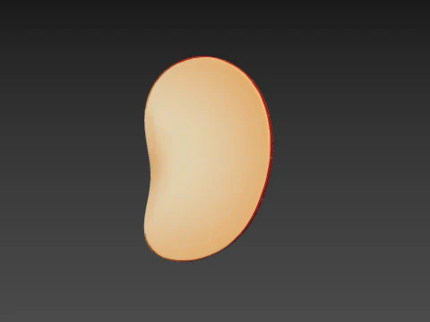 Apple Slice 3D Model