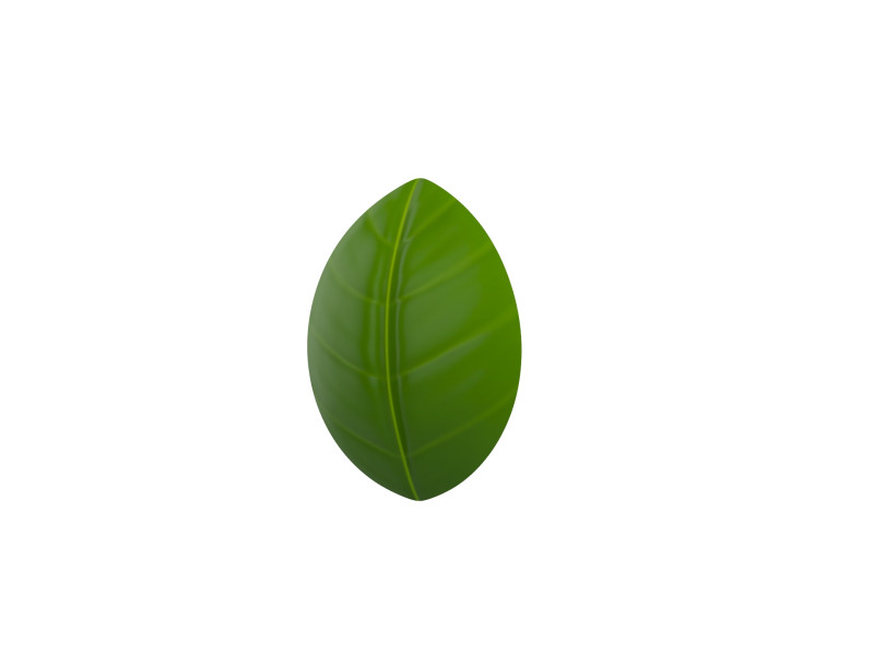 Basil 3D Model .c4d .max .obj .3ds .fbx .stl .blend