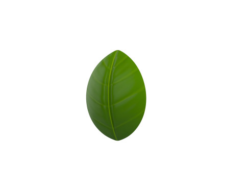 Basil Modelo 3D
