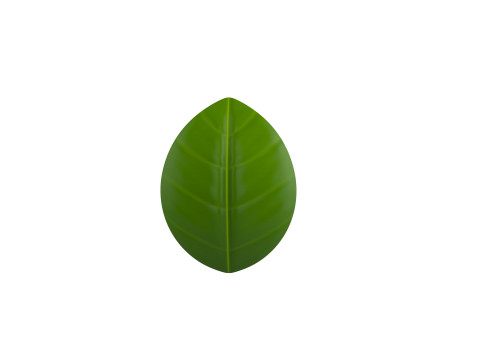 Basil 3D Model