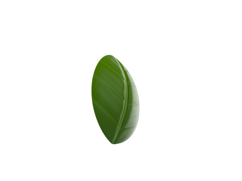 Basil 3D Model