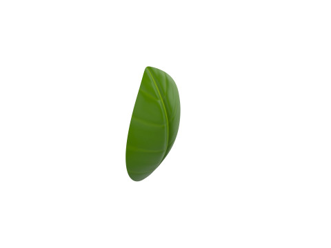 Basil 3D Model