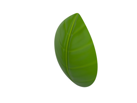 Basil 3D Model