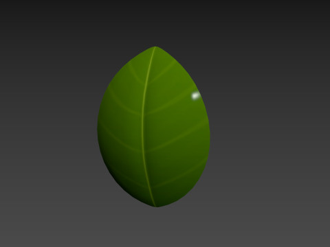 Basil 3D Model