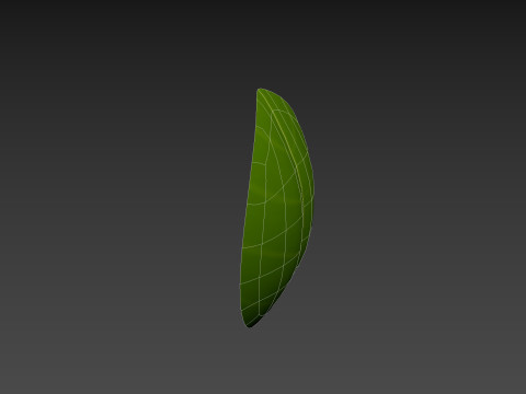 Basil 3D Model
