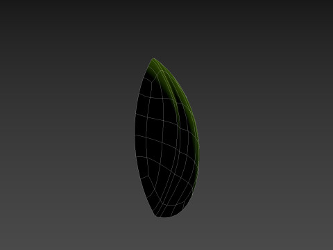Basil 3D Model