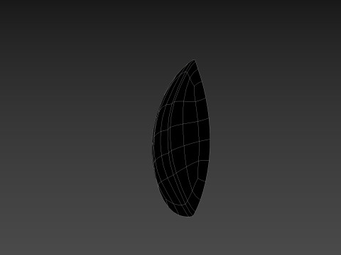 Basil 3D Model