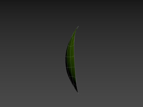 Basil 3D Model