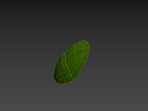 Basil 3D Model