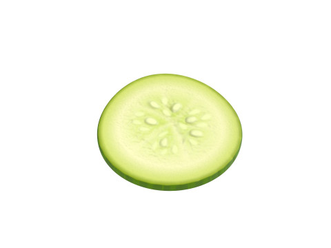 Cucumber Slice Modelo 3D