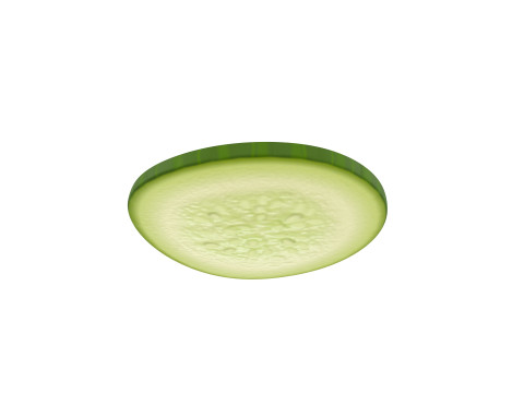 Cucumber Slice Modelo 3D