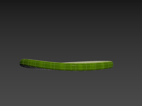 Cucumber Slice Modelo 3D