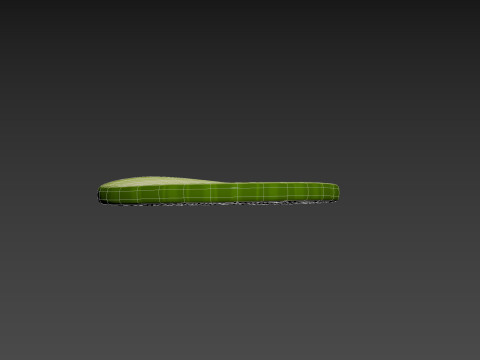 Cucumber Slice Modelo 3D