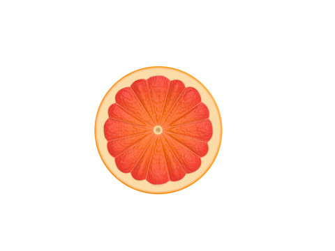 Grapefruit Slice 3D Model