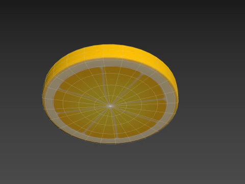 Fatia de Lim&atilde;o Modelo 3D