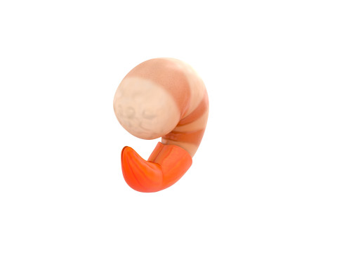 Low Poly Shrimp 3D 모델