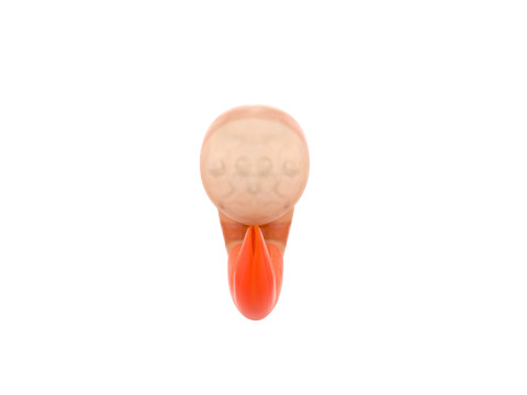 Low Poly Shrimp 3D 모델