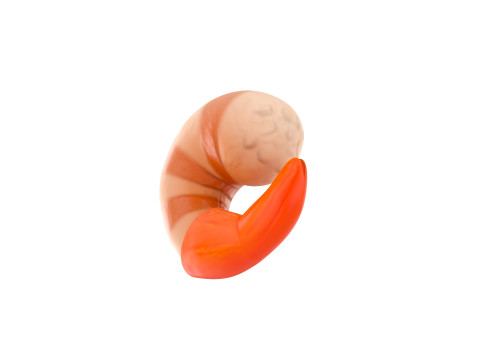 Low Poly Shrimp 3D 모델