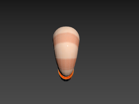 Low Poly Shrimp 3D 모델