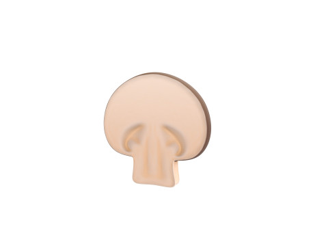 Mushroom Slice Modelo 3D