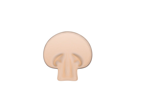 Mushroom Slice Modèle 3D