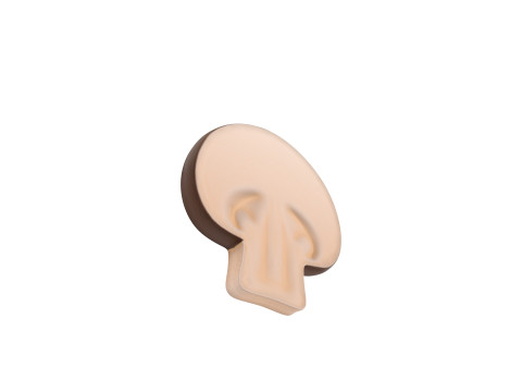 Mushroom Slice Modèle 3D