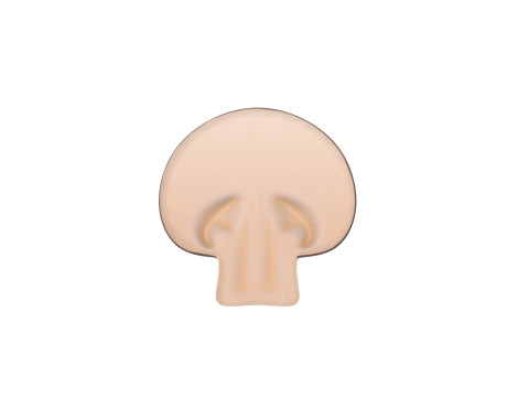 Mushroom Slice Modèle 3D