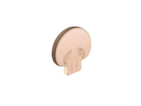 Kawałek Grzyb&oacute;w Model 3D