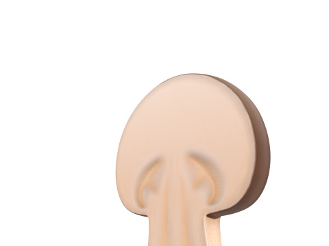 Mushroom Slice Modèle 3D