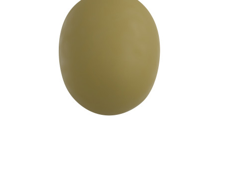 Olive 3D Модель