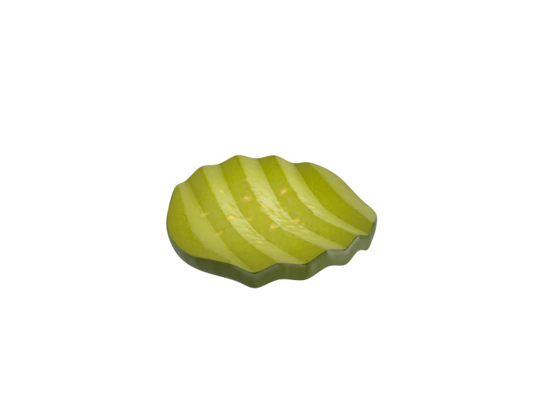 Pickle Slice 3D Model .c4d .max .obj .3ds .fbx .stl .blend