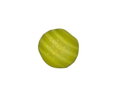 Pickle Slice 3D Model