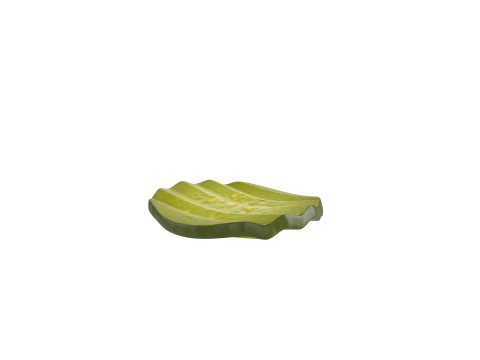 Pickle Slice 3D Model