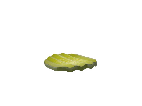 Pickle Slice 3D Model