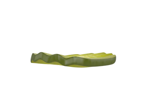 Pickle Slice 3D Model